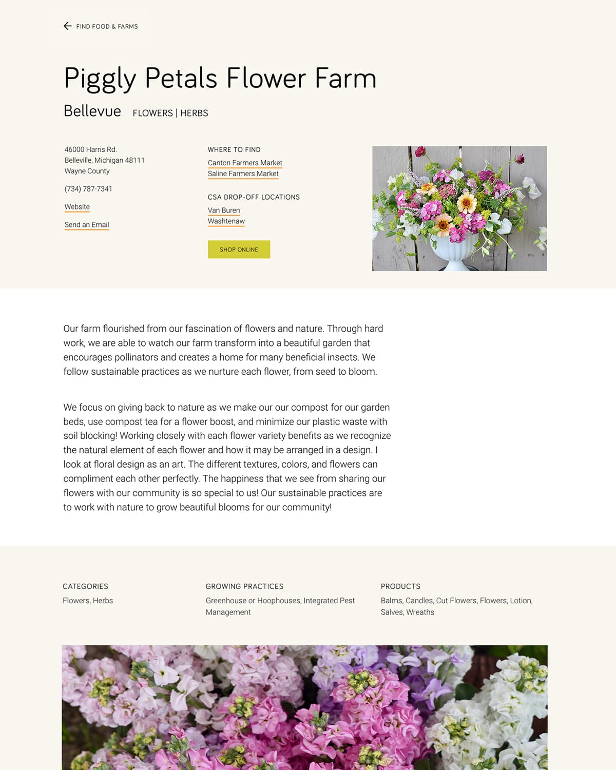 The 'Piggly Petals' page wireframed earlier, but in full color.